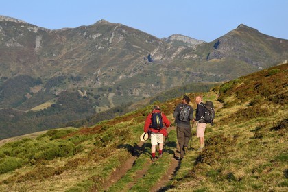 France, Cantal, Parc Naturel Régional des Volcans d'Auvergne (regional nature park of Auvergne volcanoes),  Le Lioran, col de Rombiere (mountain pass), hikers on the Way of St. James to Santiago de Compostela by Via Arverna, the puy de Peyre Arse in the background