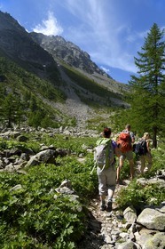 France, Alpes-Maritimes, parc national du Mercantour (Mercantour National Park), Valmasque valley, hikers on a trail at the foot of Mont Sainte-Marie (2740m)