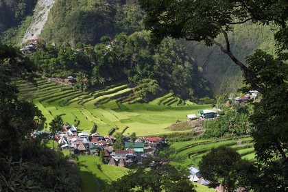 Philippines, Ifugao province, Banaue rice terraces around the village of Batad, listed as World Heritage by UNESCO, fed by an ancient irrigation system from the rainforests above the terraces