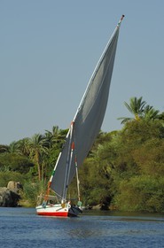 Egypte, Haute Egypte, vallée du Nil, Assouan, felouques sur le Nil autour de l'Ile Eléphantine