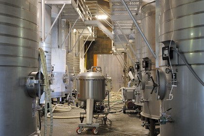 Etats-Unis, Californie, Russian Valley River, la propriété viticole de De Loach