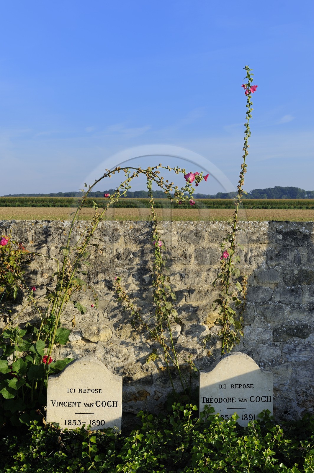 France, Val-d'Oise (95), parc naturel régional du Vexin français, Auvers-sur-Oise, cimetière, les tombes de Vincent et Théodore Van Gogh France, Val-d'Oise (95), parc naturel régional du Vexin français, Auvers-sur-Oise, cimetière, les tombes de Vincent et Théodore Van Gogh