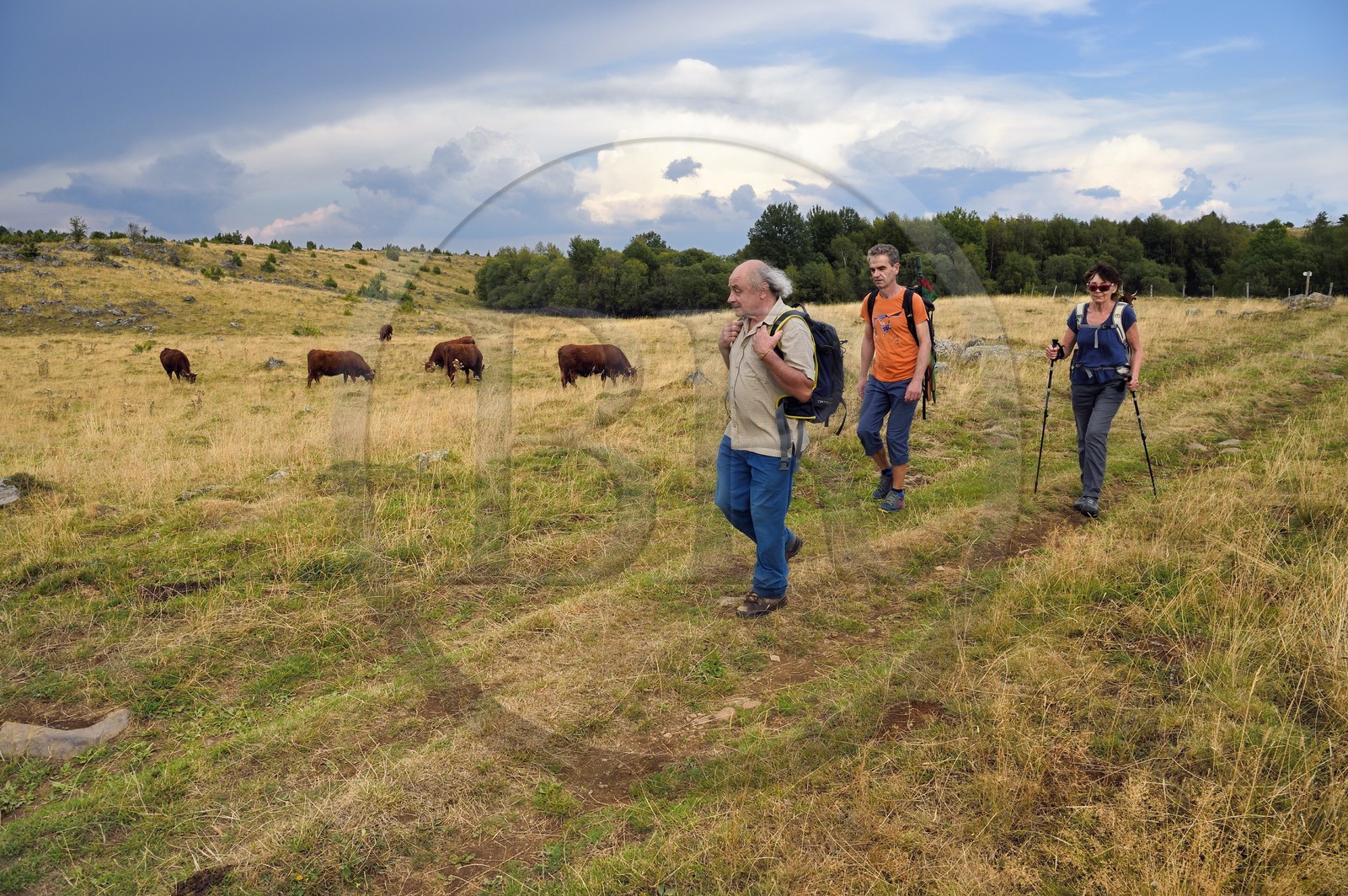 France, Cantal (15), Parc Naturel Régional des Volcans d'Auvergne, plateau de Chastel-sur-Murat, randonneurs sur le chemin de Saint-Jacques de Compostelle par la Via Arverna France, Cantal (15), Parc Naturel Régional des Volcans d'Auvergne, plateau de Chastel-sur-Murat, randonneurs sur le chemin de Saint-Jacques de Compostelle par la Via Arverna