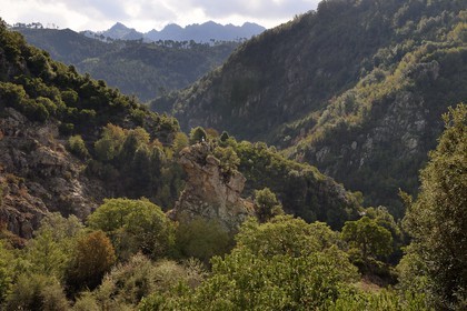 France, Corse du Sud, Prunelli river valley, Prunelli gorges