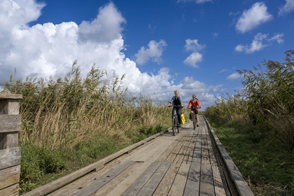 France, Loire-Atlantique (44), Lavau-sur-Loire, randonnée à vélo dans l'estuaire de la Loire