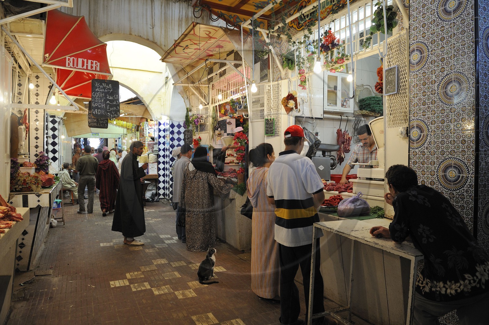 Maroc, Meknès, ville impériale, médina classée Patrimoine Mondial de l' UNESCO, marché couvert de el Hédime, chat devant l'étal du boucher Maroc, Meknès, ville impériale, médina classée Patrimoine Mondial de l' UNESCO, marché couvert de el Hédime, chat devant l'étal du boucher
