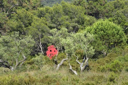 France, Var (83), Iles d'Hyères, parc national de Port Cros, Ile de Porquerolles, la Fondation Carmignac, I am Mother Nature and I will eat you sculpture d’Olaf Breuning