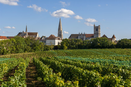 France, Yonne (89), Auxerre, vignes du Clos de la Chaînette (dans le centre hospitalier spécialisé de l'Yonne) et l'abbaye Saint-Germain