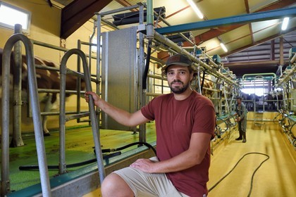 France, Cantal, Sainte-Marie, La Terrisse hamlet, breeding dairy cows on the Cantagrel farm, the breeder Martin Séguis defends family farming, resilient, productive and sustainable, evening milking