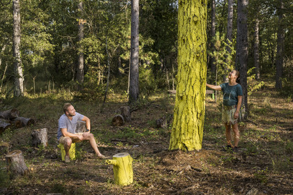 France, Var (83), Provence Verte, Bras, Académie du Bain de Forêt Provençale, forêt du domaine Le Peyrourier - une campagne en Provence
