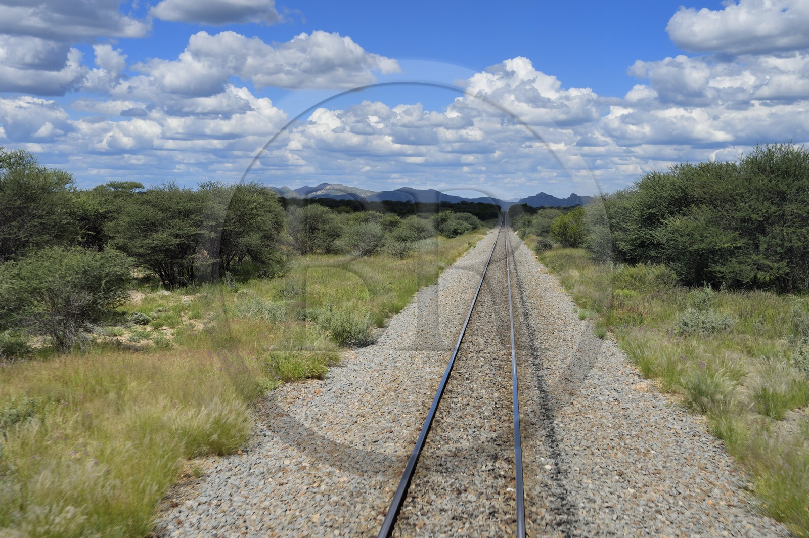 Namibie, région de Otjozondjupa, voie ferrée emprunté par le Shongololo express