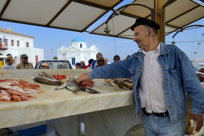 Greece, Cyclades islands, Mykonos island, Chora (Mykonos town), the fish market on the port