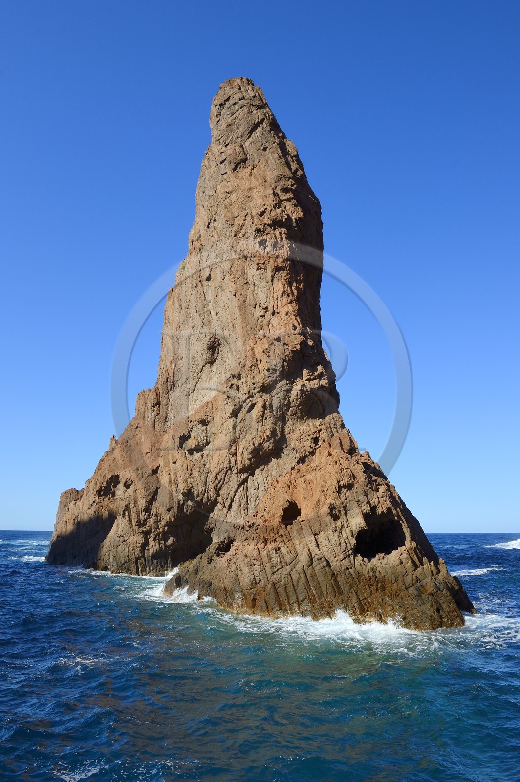 France, Corse-du-Sud (2A), Golfe de Porto, classé Patrimoine Mondial de l'UNESCO, Réserve naturelle de Scandola