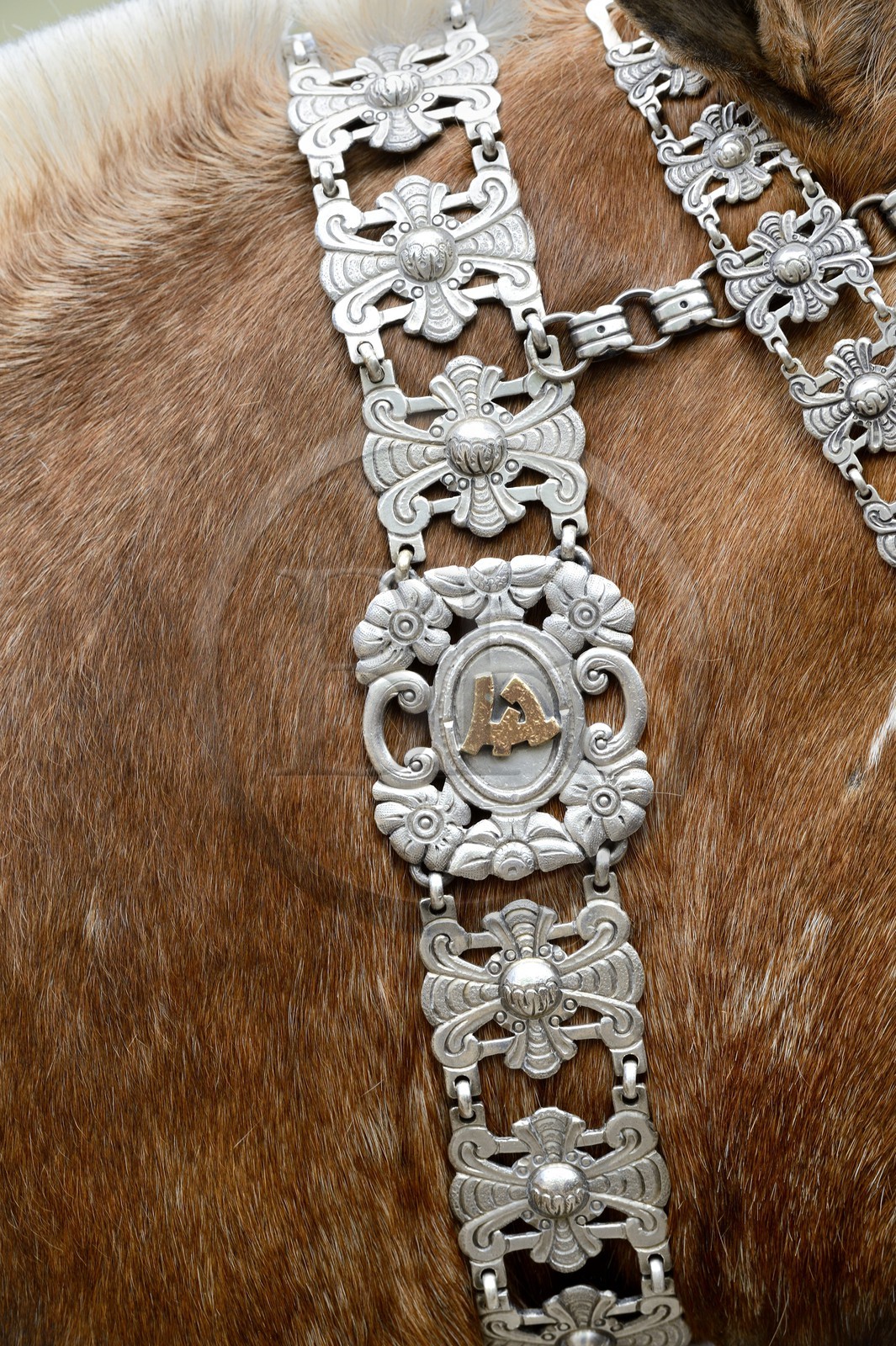 Argentine, province de Buenos Aires, San Antonio de Areco, fête du Jour de la Tradition (Dia de la Tradicion), travail d'orfèvre sur un harnais en argent utilisé lors de grandes occasions, détail Argentine, province de Buenos Aires, San Antonio de Areco, fête du Jour de la Tradition (Dia de la Tradicion), travail d'orfèvre sur un harnais en argent utilisé lors de grandes occasions, détail