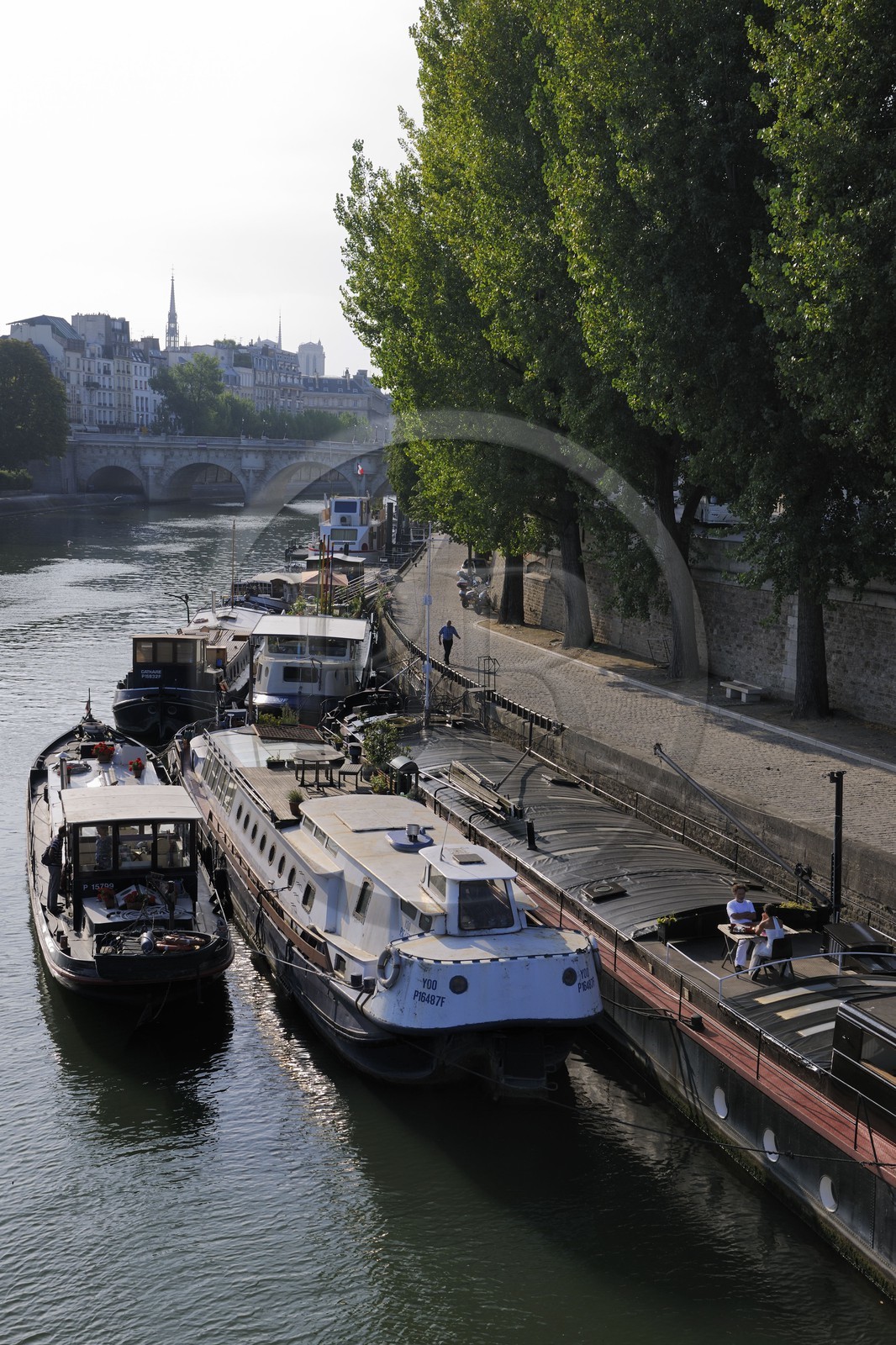 France, Paris (75), péniches amarées quai de Conti avec l'Ile de la Cité au fond