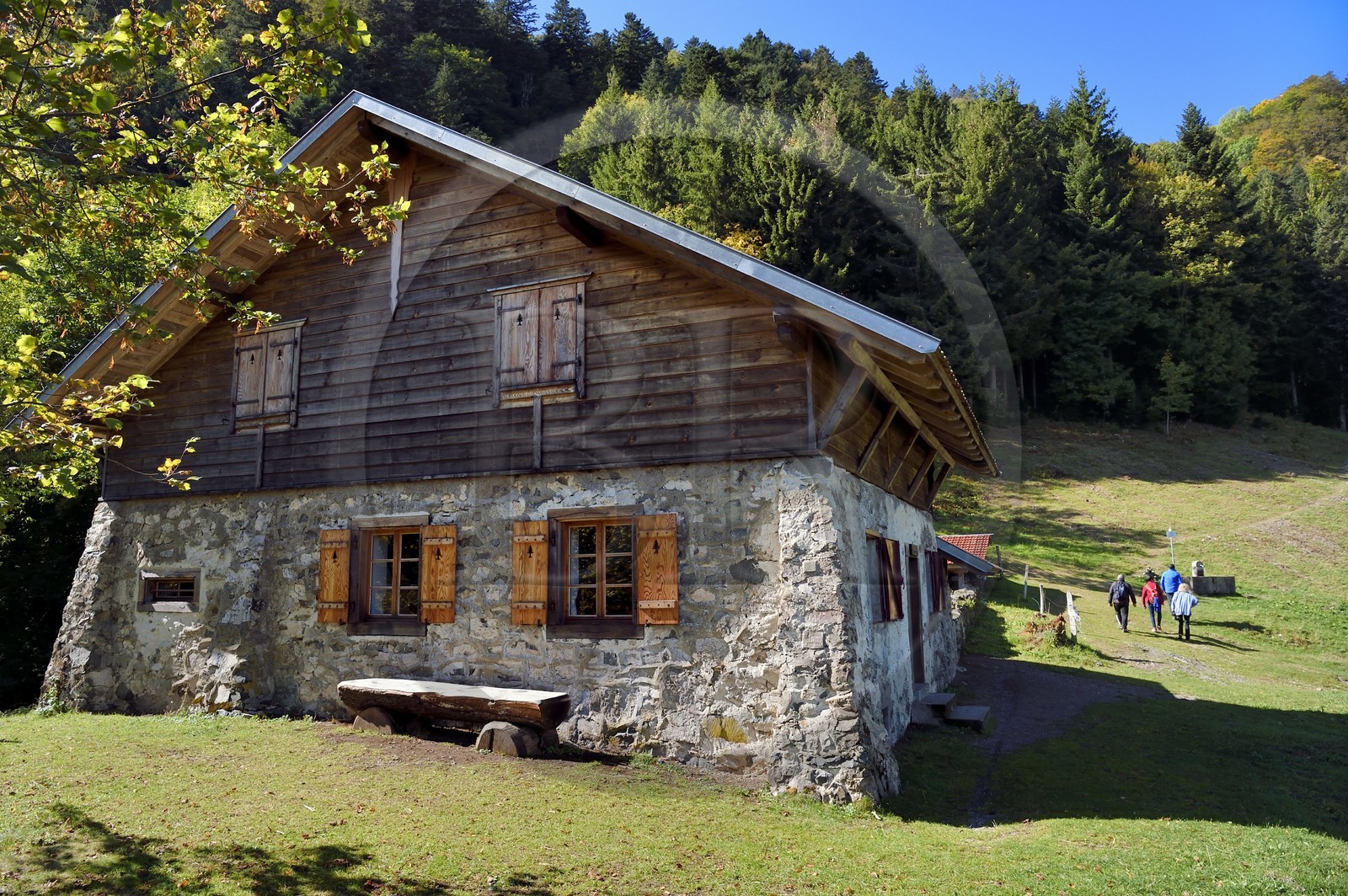 France, Haut-Rhin (68), Parc naturel régional des ballons des Vosges, Storckensohn, montagne de La Tête des Perches, la chaume de Gazon vert, refuge dans l'ancienne ferme