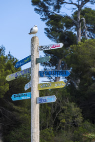 France, Alpes-Maritimes, Cannes, Lerins Islands, Sainte-Marguerite island, at Bruno's La Guérite restaurant below the Fort Royal, humorous directional sign