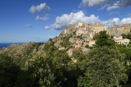 France, Haute Corse, Balagne, perched village of Speloncato