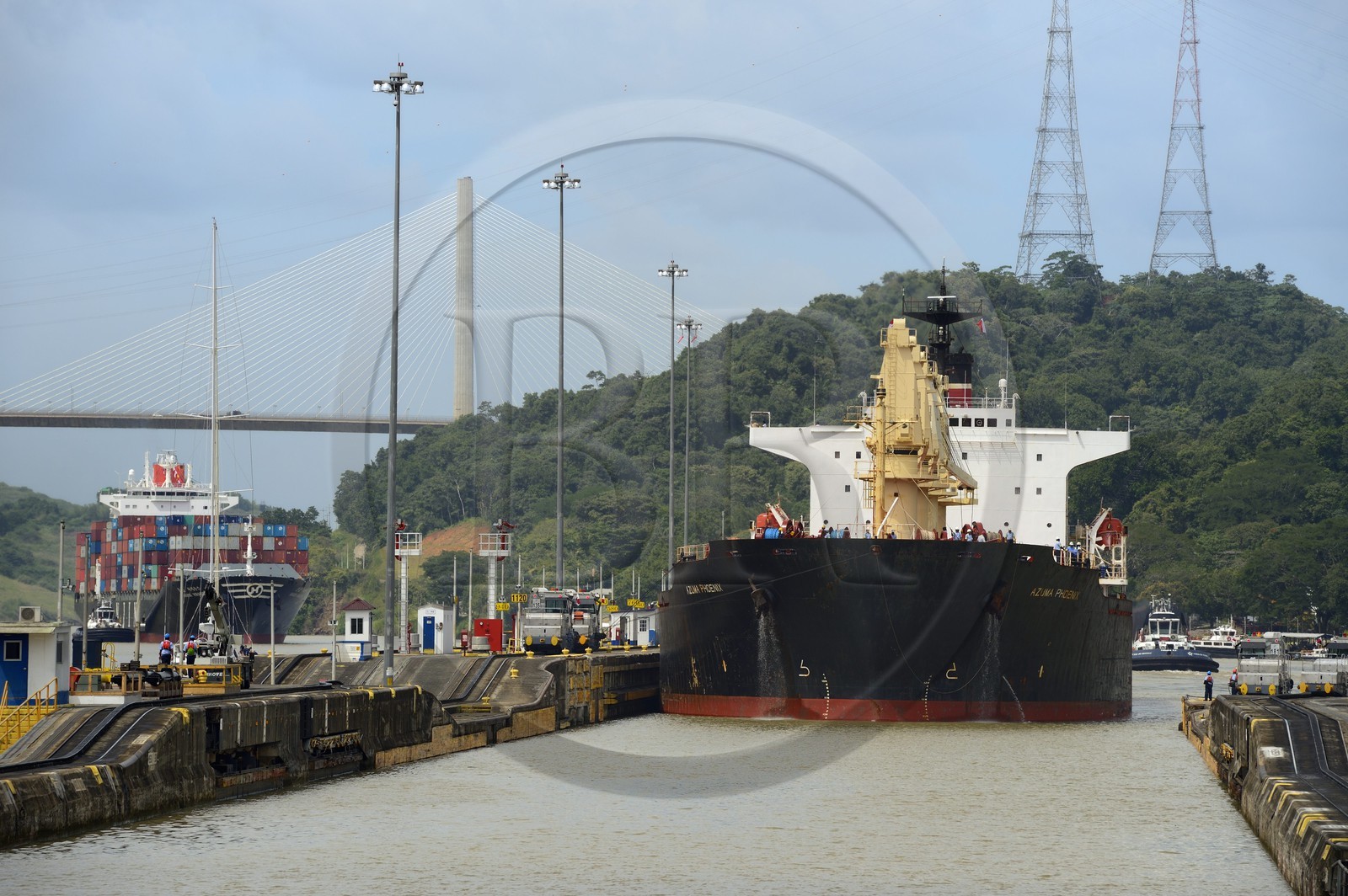 Panama, Canal de Panama, écluses de Pedro Miguel, mules mécaniques ou locomotives électriques guidant un cargo Panamax entre les murs de l'écluse