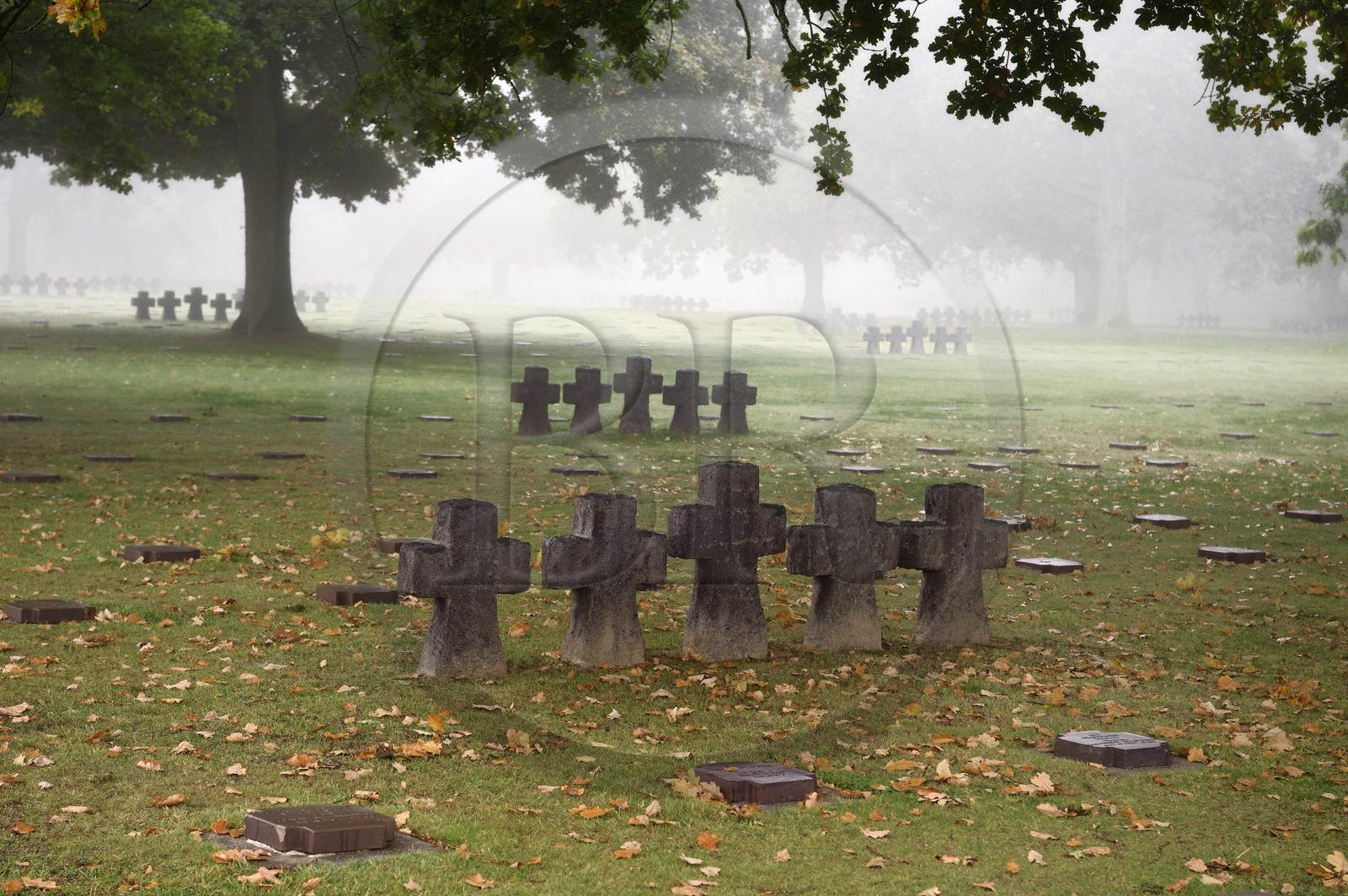 France, Calvados (14), La Cambe, Cimetière militaire allemand de la deuxième guerre mondiale
