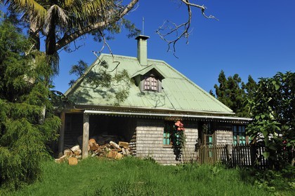 France, Reunion island (French overseas department), Belouve forest, Belouve lodging