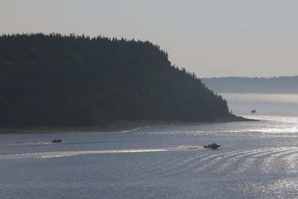 Canada, province du Québec, Côte Nord, Havre-Saint-Pierre, le Parc National Archipel de Mingan dans le golfe du Saint Laurent