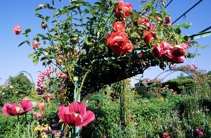 France, Eure (27), Giverny, jardin de Claude Monet