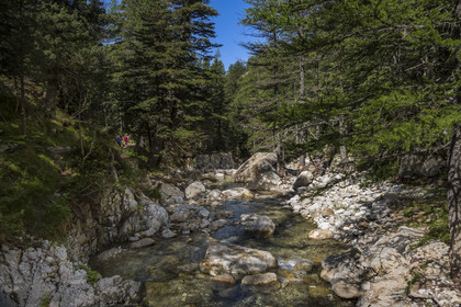 France, Alpes-Maritimes, Parc National du Mercantour (Mercantour national park), Haute Vesubie, Saint Martin Vesubie, Val du Haut Boréon, hike on the GR 52 towards the refuge of Cougourde and the Boréon river