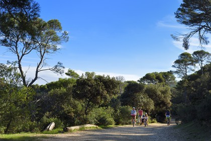 France, Var (83), Iles d'Hyères, parc national de Port Cros, Ile de Porquerolles, famille à bicyclette sur le chemin cotier