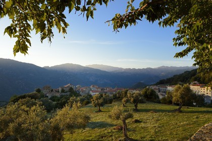 France, Corse du Sud, Alta Rocca, Sainte-Lucie-de-Tallano (Santa Lucia di Tallà)