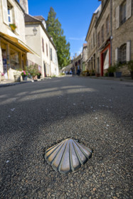 France, Yonne, regional natural park of Morvan, Vézelay, a UNESCO World Heritage site, labelled Les Plus Beaux Villages de France, starting point of one of the main ways to Santiago de Compostela, bronze urban nail that marks the Way of Saint James on the main street