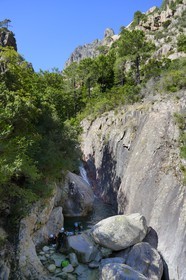 France, Corse du Sud, Alta Rocca, Bavella, canyoning in the stream of Polischellu