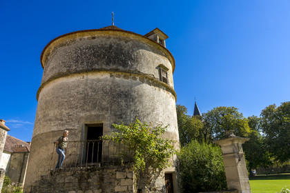 France, Côte-d'Or (21), Epoisses, le château d'Epoisses, colombier du XVIIe siècle, avec une échelle tournante et plus de 3000 boulins (niches)