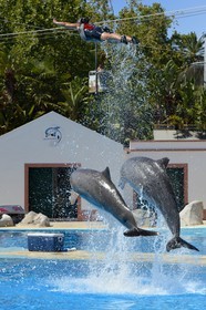Portugal, Lisbonne, Jardin zoologique, le delphinarium, dauphins faisant le spectacle