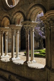France, Aude, Fonfroide cistercian Abbey, the cloister