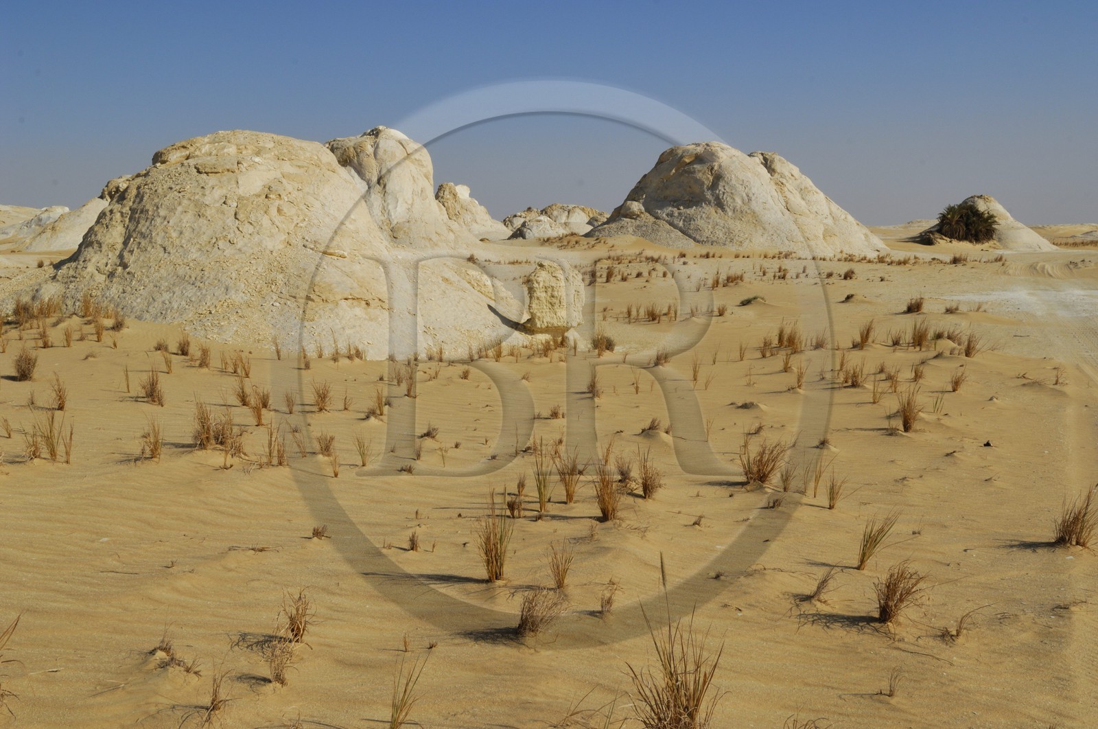 Egypte, désert libyque, le Désert Blanc au nord de Farafra