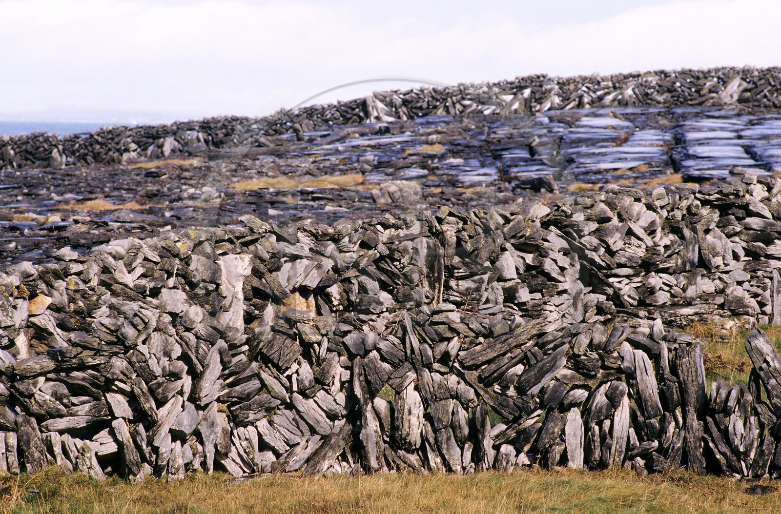 Irlande, Comté de Galway, îles d' Aran, l' île Inishmore, murs de pierre