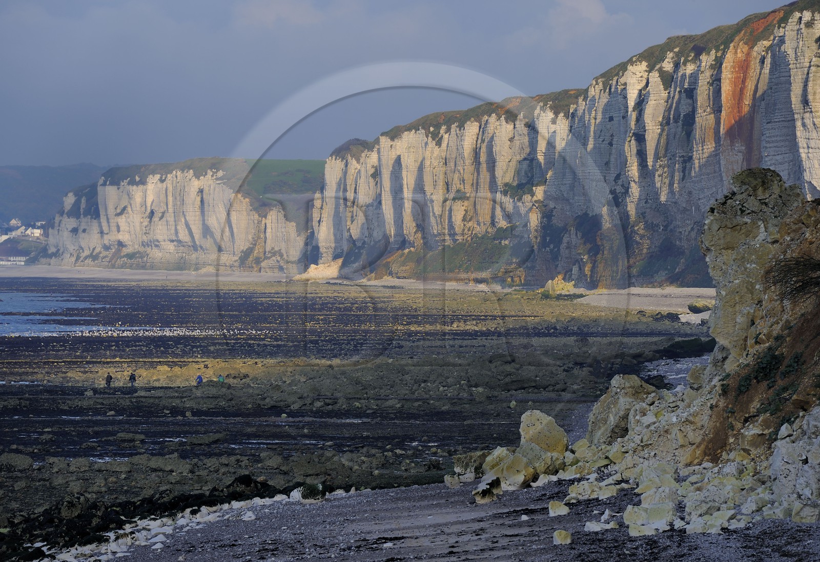 France, Seine-Maritime (76), Côte d'Albâtre, Yport, la plage au pied des falaises