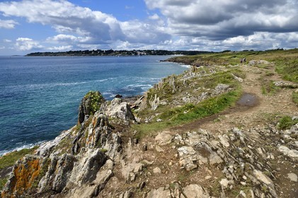 France, Finistère (29), Moelan-sur-Mer, le littoral entre Kerfany les Pins et la plage de Trenez sur le chemin de Grande Randonnée GR 34 ou sentier des douaniers