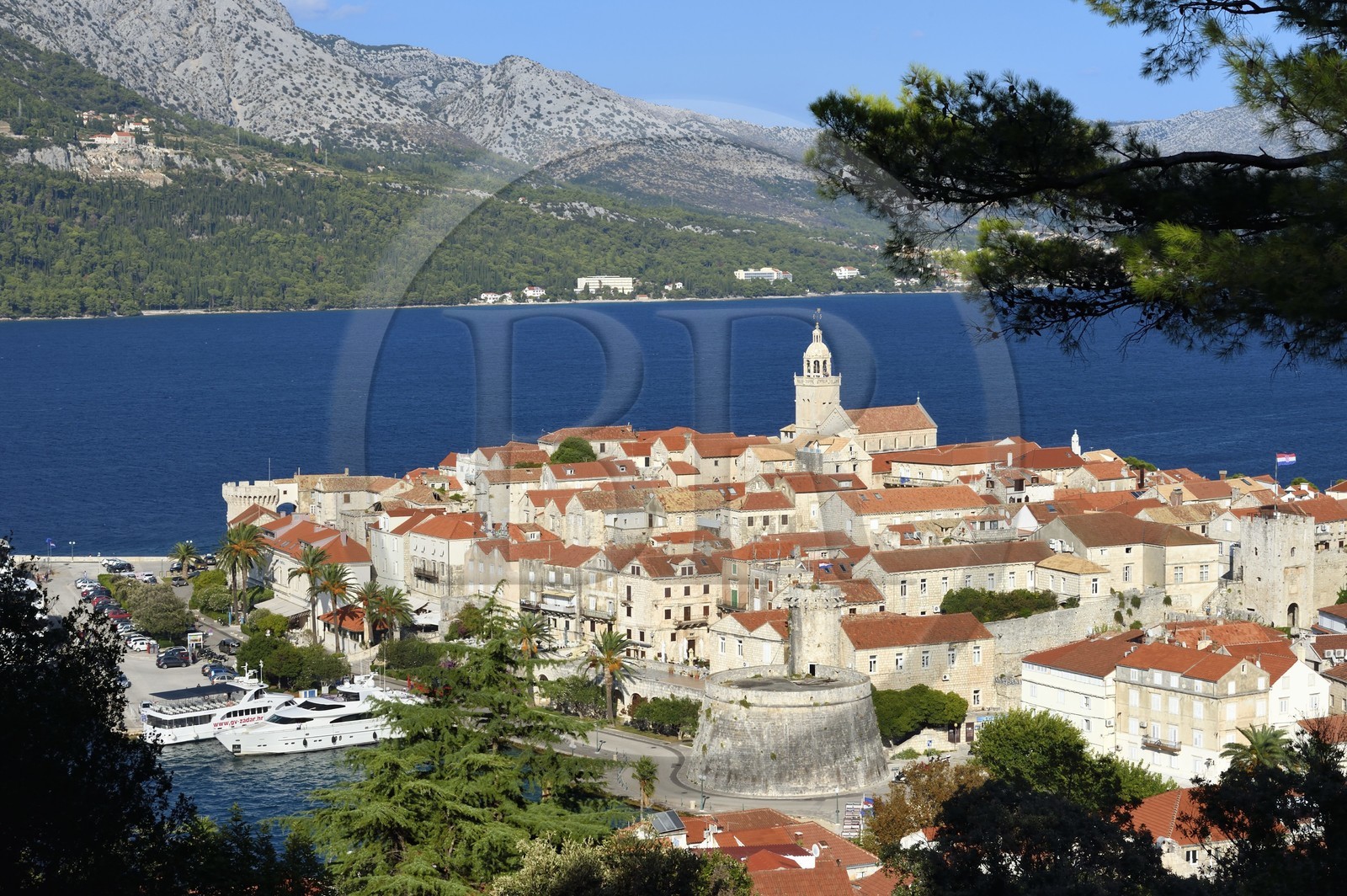 Croatie, Dalmatie, cote dalmate, Ile de Korcula, ville de Korcula