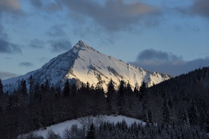 France, Haute Savoie, Taninges, massif du Chablais, Pic de Marcelly