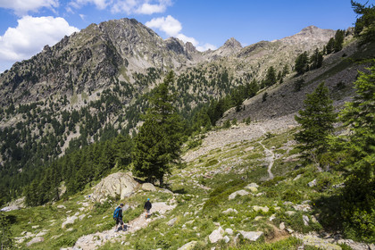 France, Alpes-Maritimes, Parc National du Mercantour (Mercantour national park), Haute Vesubie, Saint Martin Vesubie, Val du Haut Boréon, hikers on the way to the Cougourde refuge, Mount Pelago on the left and Cime Guilié (2999m) on the right in the background