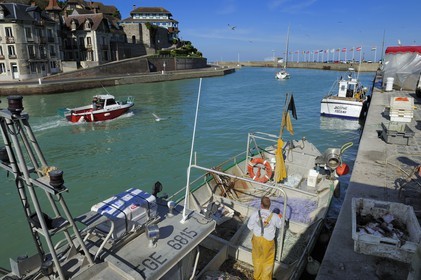 France, Seine Maritime, Saint Valery en Caux harbour, unloading of the catch of the day