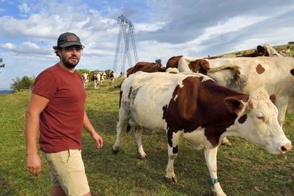 France, Cantal, Sainte-Marie, La Terrisse hamlet, Montbeliarde dairy cows breeding on the Cantagrel farm, the breeder Martin Séguis defends family farming, resilient, productive and sustainable, he is preparing to return the cows to the barn