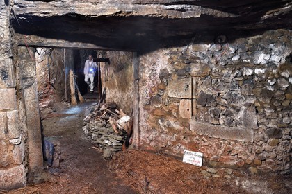France, Puy-de-Dôme (63), Clermont-Ferrand, rue Pascal, membre de l'association ACAVIC (Amis des Caves du Vieux Clermont) dans les caves en tuf sur trois niveaux de l'Hotel Martial de Grandseigne, cave où le Saint-Nectaire était affiné