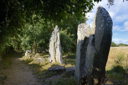 France, Morbihan, Erdeven, row of megalithic standing stones of Kerzerho