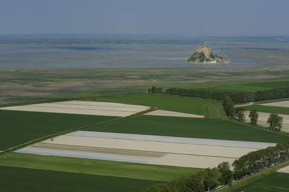 France, Ille et Vilaine, Bay of Mont Saint Michel abbey, the fields and polders of the mount on the Brittany side (aerial view)