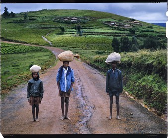 Burundi, Bujumbura Province, Ijenda area, Rugos on Ijenda hills, the village structure is a colonial intake and burundians (the vast majority of the workforce is in agriculture) lived until recently in a family home called rugo usually installed halfway up around the hills and in the middle of the property, it is suitable for breeding with a space for animals and fencing not only served as protection but also to family cohesion and to park animals for the night (4x5 reversal film reproduction)