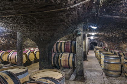 France, Cote d'Or, Climats terroirs of Burgundy listed as World Heritage by UNESCO, Beaune, Maison Champy, the oldest wine trading house in Burgundy, founded in 1720, aging of its wines in barrels in its cellars