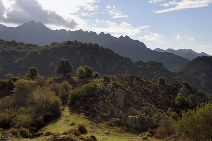 France, Corse du Sud, Prunelli river valley, Prunelli gorges